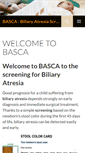 Mobile Screenshot of basca.ch